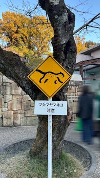 名古屋市東山動植物園に投稿された画像（2024/11/30）