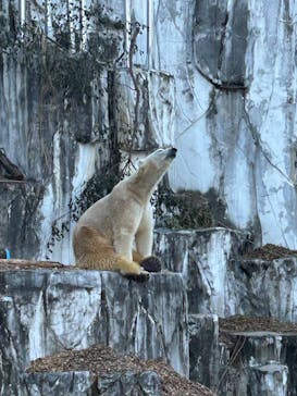 名古屋市東山動植物園に投稿された画像（2024/11/30）