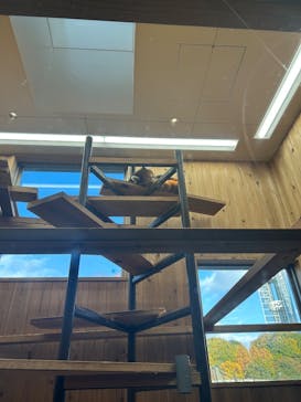 名古屋市東山動植物園に投稿された画像（2024/11/30）