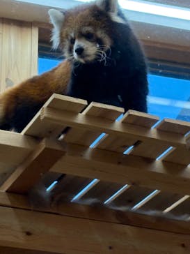 名古屋市東山動植物園に投稿された画像（2024/11/30）