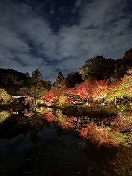 名古屋市東山動植物園に投稿された画像（2024/11/30）