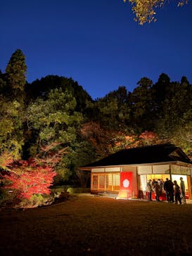 名古屋市東山動植物園に投稿された画像（2024/11/30）