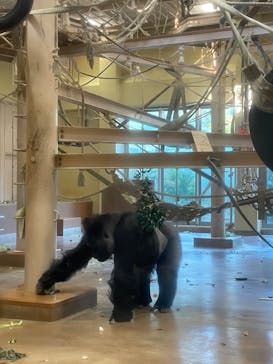 名古屋市東山動植物園に投稿された画像（2024/11/30）