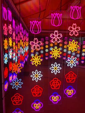 みろくの里に投稿された画像（2024/11/30）