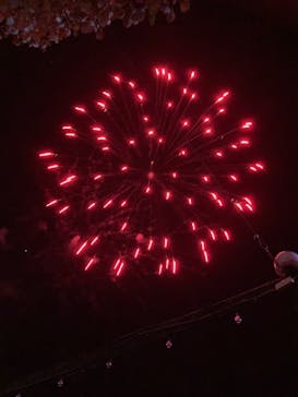 みろくの里に投稿された画像（2024/11/30）