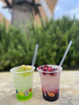 レゴランドⓇ・ジャパン・リゾートに投稿された画像（2024/11/30）