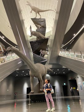 福井県立恐竜博物館に投稿された画像（2024/11/30）