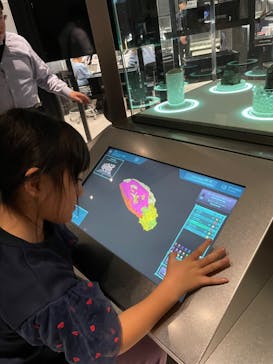 福井県立恐竜博物館に投稿された画像（2024/11/30）