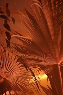 京都府立植物園　LIGHT CYCLES KYOTOに投稿された画像（2024/11/30）