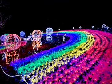 修善寺虹の郷に投稿された画像（2024/11/30）