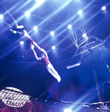 ハッピードリームサーカス湘南・平塚公演に投稿された画像（2024/11/30）