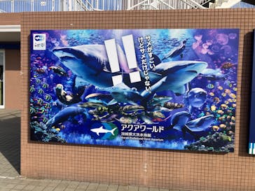 アクアワールド茨城県大洗水族館に投稿された画像（2024/11/24）