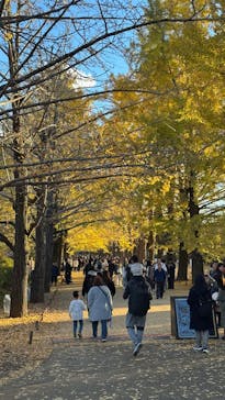 国営昭和記念公園 秋の夜散歩に投稿された画像（2024/11/30）