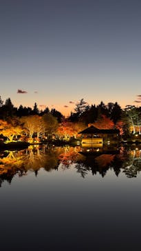 国営昭和記念公園 秋の夜散歩に投稿された画像（2024/11/30）