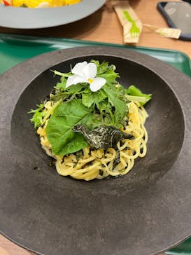 福井県立恐竜博物館に投稿された画像（2024/11/30）