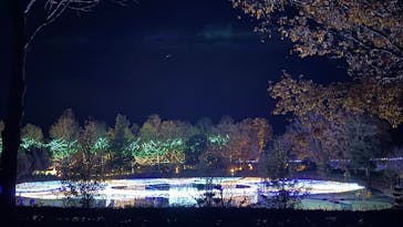 とっとり花回廊に投稿された画像（2024/11/30）