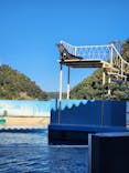 下田海中水族館に投稿された画像（2024/12/1）