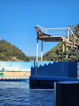 下田海中水族館に投稿された画像（2024/11/30）