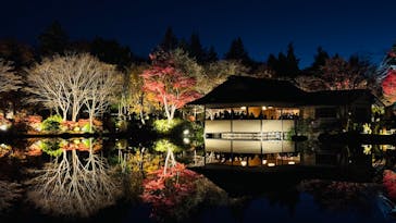 国営昭和記念公園 秋の夜散歩に投稿された画像（2024/11/30）