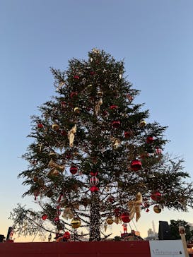 Christmas Market in 横浜赤レンガ倉庫 2025に投稿された画像（2024/11/30）