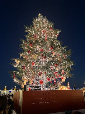 Christmas Market in 横浜赤レンガ倉庫 2025に投稿された画像（2024/11/30）