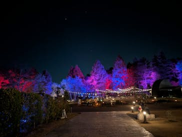 ムーミンバレーパークに投稿された画像（2024/11/30）