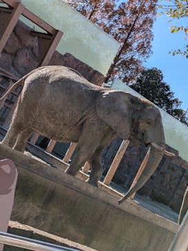 東武動物公園に投稿された画像（2024/11/30）