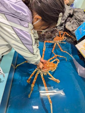 竹島水族館に投稿された画像（2024/11/30）