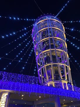 江の島シーキャンドルに投稿された画像（2024/11/30）