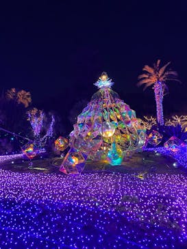 江の島シーキャンドルに投稿された画像（2024/11/30）