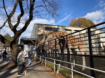 宇都宮動物園に投稿された画像（2024/11/30）
