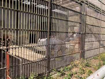 宇都宮動物園に投稿された画像（2024/11/30）