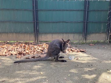 宇都宮動物園に投稿された画像（2024/11/30）