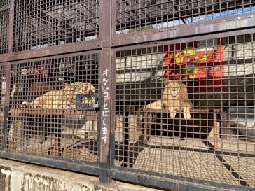 宇都宮動物園に投稿された画像（2024/11/30）