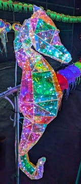 伊豆高原グランイルミに投稿された画像（2024/11/30）