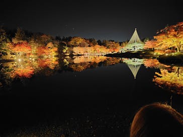 国営昭和記念公園 秋の夜散歩に投稿された画像（2024/11/30）
