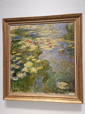 モネ 睡蓮のとき（国立西洋美術館）に投稿された画像（2024/11/30）