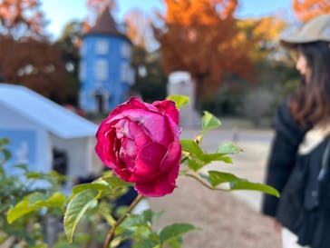 ムーミンバレーパークに投稿された画像（2024/11/30）