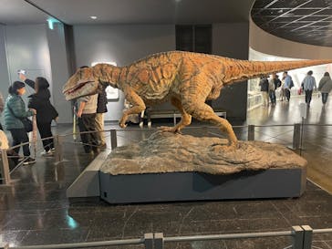 福井県立恐竜博物館に投稿された画像（2024/11/30）
