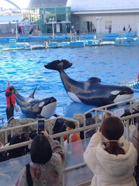 名古屋港水族館に投稿された画像（2024/11/30）