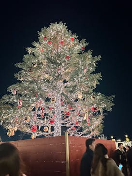 Christmas Market in 横浜赤レンガ倉庫 2025に投稿された画像（2024/11/30）