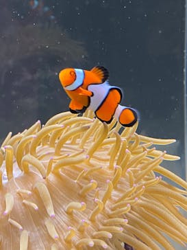 AOAO SAPPOROに投稿された画像（2024/11/30）