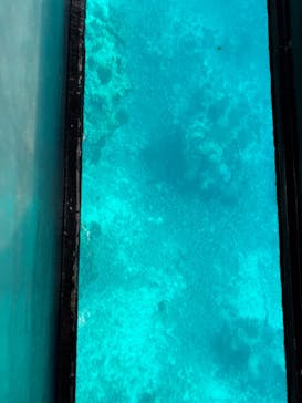 まりんはうすぐるくんに投稿された画像（2024/11/30）