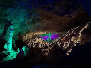 石垣島鍾乳洞に投稿された画像（2024/11/30）