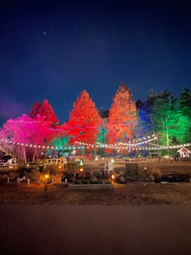 ムーミンバレーパークに投稿された画像（2024/11/30）