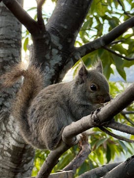 神戸どうぶつ王国に投稿された画像（2024/11/30）