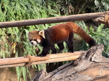 神戸どうぶつ王国に投稿された画像（2024/11/30）