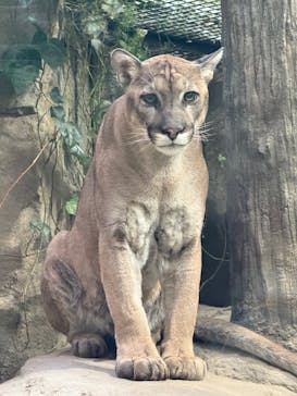 神戸どうぶつ王国に投稿された画像（2024/11/30）