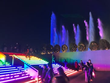 東京メガイルミに投稿された画像（2024/12/1）