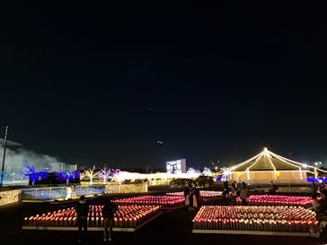 東京メガイルミに投稿された画像（2024/12/1）